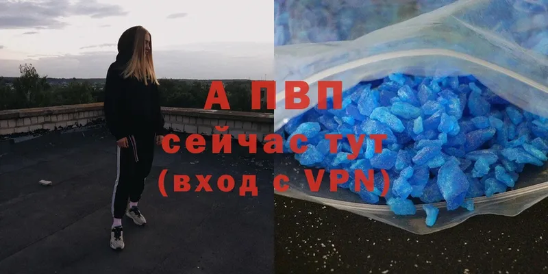 закладки  Бологое  А ПВП СК 